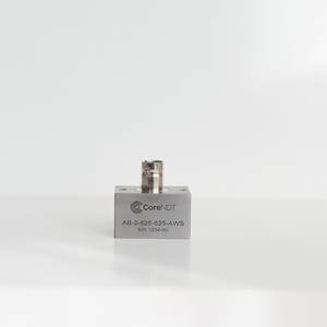 CoreNDT AWS Angle Beam Transducers and AWS Wedges